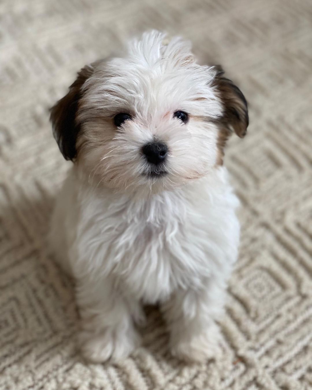 CHARLIE